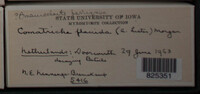 Image Associated With the Occurence